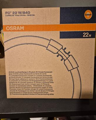 Lampadina neon Osram FC 22W/840 2GX13