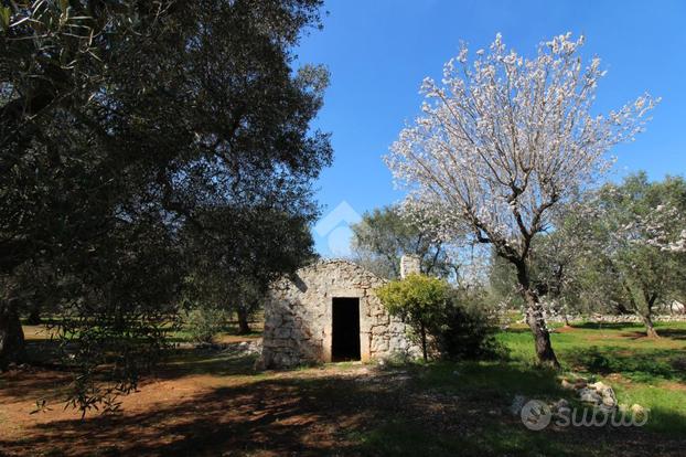 RUSTICO A CEGLIE MESSAPICA