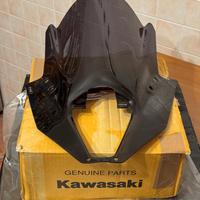 CUPOLINO FUMÉ Z RACING PUIG NINJA 650 / Z650