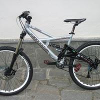 Cannondale gemini