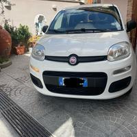Fiat panda 2018