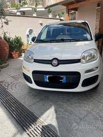 Fiat panda 2018