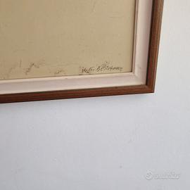 de stefano