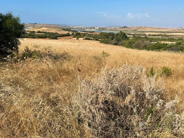 Terreno agricolo di 6500 mq pressi simbirizzi - Vista 5