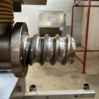 Rinaldini Oil Press