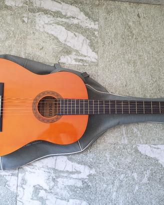 Chitarra acustica 