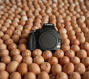 Canon eos 400D non funzionante