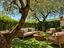 Immagine 23
