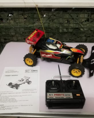 Sky hawk frame buggy vintage scala 1 /10