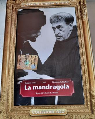 DVD-Video "La mandragola" NUOVO