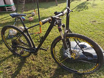 Mountain bike Carbonio 29 taglia M Specialized