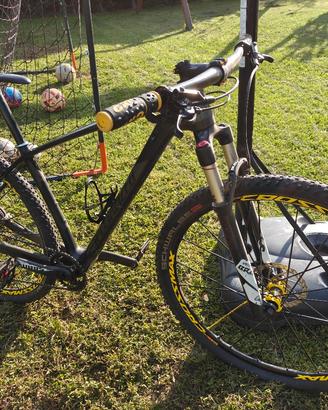 Mountain bike Carbonio Specialized Stump Jumper