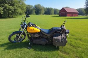 Harley Davidson Softail Night Train 1584