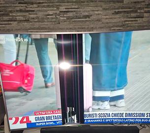 Ricambi Originali Samsung 65" Curvo UE65MU6500