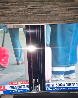 Ricambi Originali Samsung 65" Curvo UE65MU6500