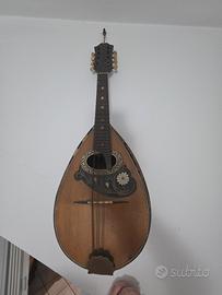 mandolino