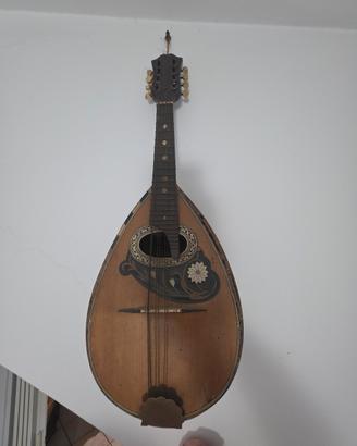 mandolino