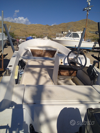 Barca a motore 25 cv