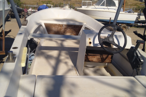 Barca a motore 25 cv