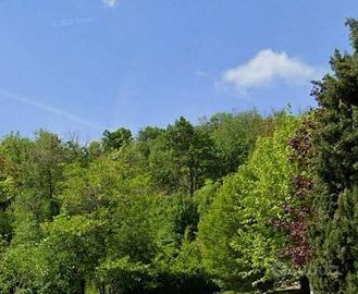 Terreno di 1580 m² a Longone al Segrino