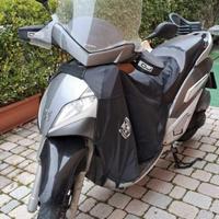 Peugeot Geopolis 300 - 2013