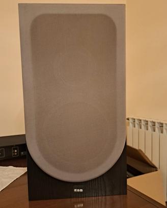 Casse stereo ESB 150W
