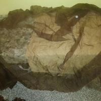 coppia veli tenda semitraspante marrone spazio bas