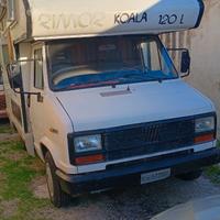 Rimor koala su ducato 1.9D