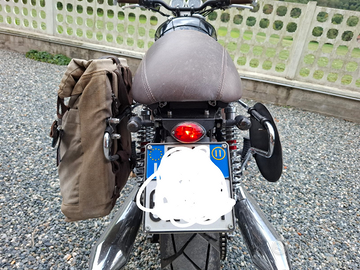 Triumph T100