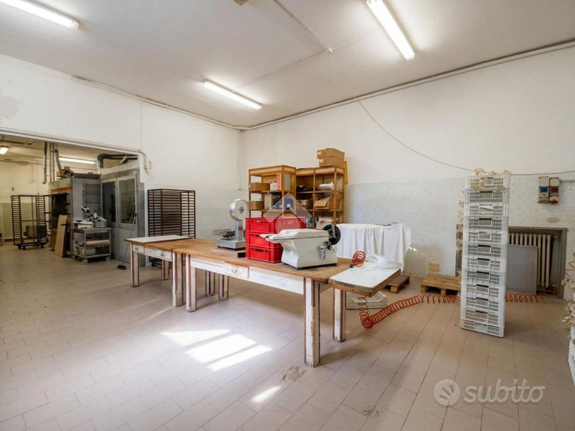 NEGOZIO A SAN MAURO PASCOLI - Altro
