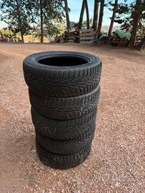 Gomme invernali 195/55 R15 Nokian WR D4