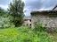 Immagine 16