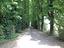 Immagine 16