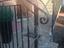 Immagine 3
