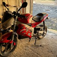 Gilera DNA