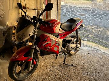 Gilera DNA