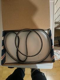 Cinghia distribuzione Volkswagen 1.4 benzina 16 va