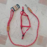 Guinzaglio con pettorina Eurocuoio