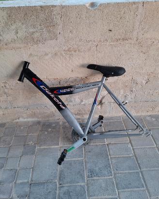 telaio bici