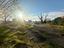 Immagine 27
