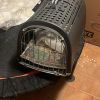 Trasportino per gatti