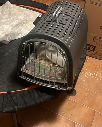 Trasportino per gatti