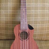 Premium Concerto Ukulele con sintonizzatore