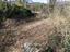 Immagine 9