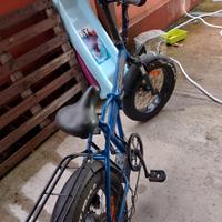 bicicletta elettrica 