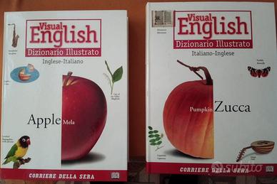 Visual English - Dizionario Illustrato (2 Volumi)
