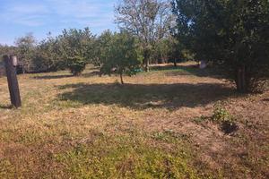 terreno libero di  600 metri