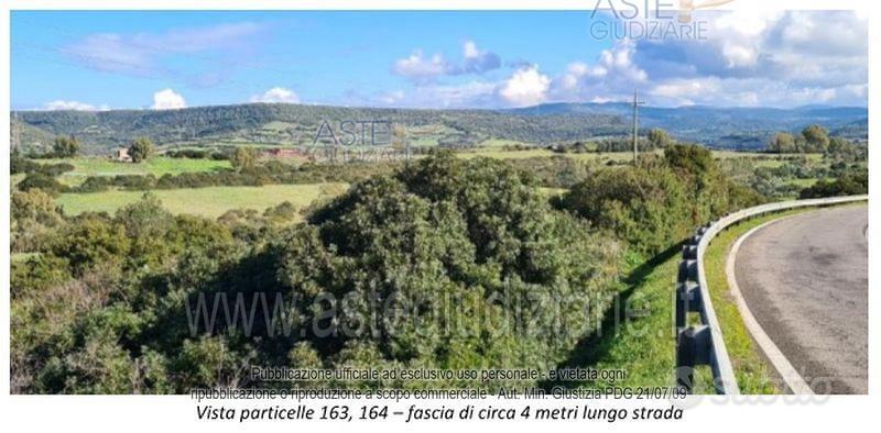 Terreno Agricolo Fordongianus [A4352448] - Altro