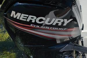 MERCURY 100 4T