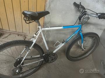 Bicicletta vintage